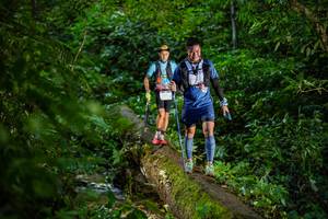 BIB: 
                            <button type="button" onclick="openModal(18923226)" class="btn btn-primary btn-sm float-right btn-popup" data-toggle="modal" data-target=".modal-high-quality">
                        <i class="fas fa-shopping-cart"></i> Add to Cart
                    </button>
                                            <button type="button" onclick="isThisMe(18923226, true)" class="btn btn-success btn-sm float-right btn-popup btn-isme hidden" data-toggle="tooltip" data-placement="bottom" title="นี่คือรูปของคุณใช่ไหม คลิกที่นี่เพื่อเอาเข้าอัลบั้ม">
                        <i class="fas fa-plus"></i> Add to album
                    </button>
                    <button type="button" onclick="isThisMe(18923226, false)" class="btn btn-warning btn-sm float-right btn-popup btn-isnotme hidden">
                        <i class="fas fa-ban"></i> Remove from album
                    </button>